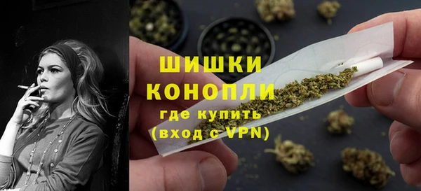 прущие грибы Горняк