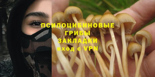 дживик Горно-Алтайск
