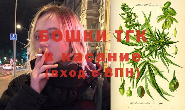 гидропоника Горнозаводск