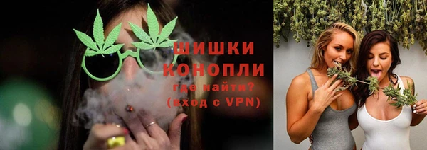 прущие грибы Горняк