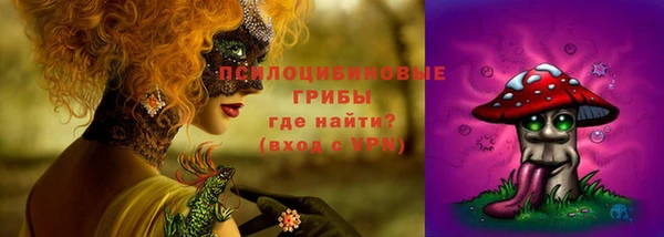 гидропоника Горнозаводск