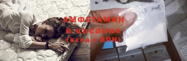 прущие грибы Горняк