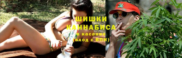 прущие грибы Горняк
