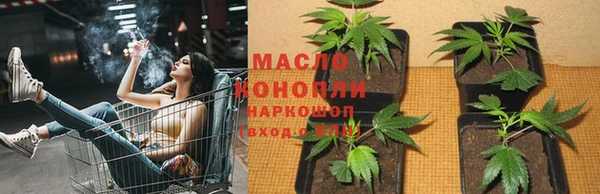 гидропоника Горнозаводск