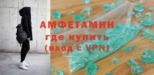 прущие грибы Горняк