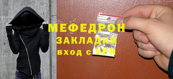 прущие грибы Горняк