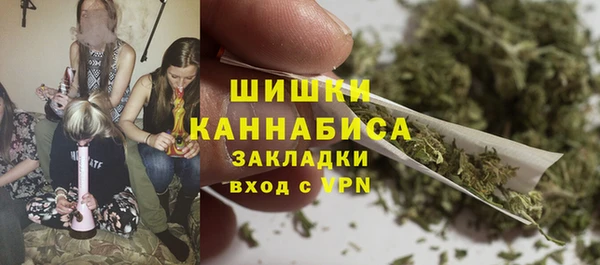 прущие грибы Горняк