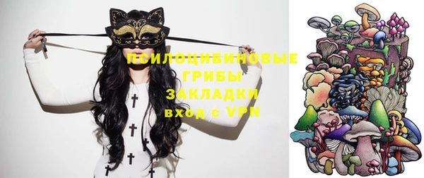гидропоника Горнозаводск