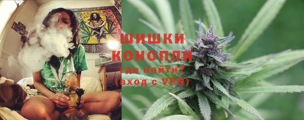 гидропоника Горнозаводск