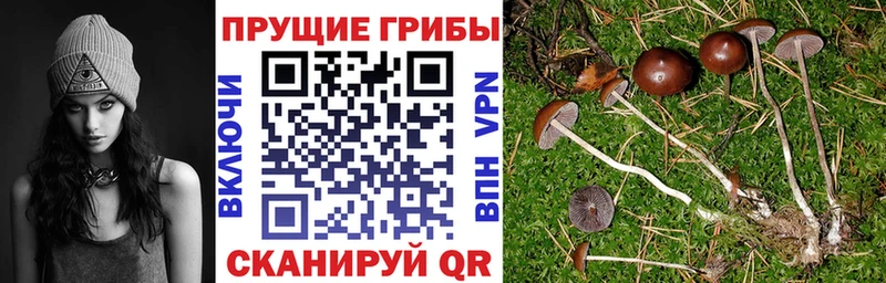 что такое наркотик  Салават  Галлюциногенные грибы Magic Shrooms 